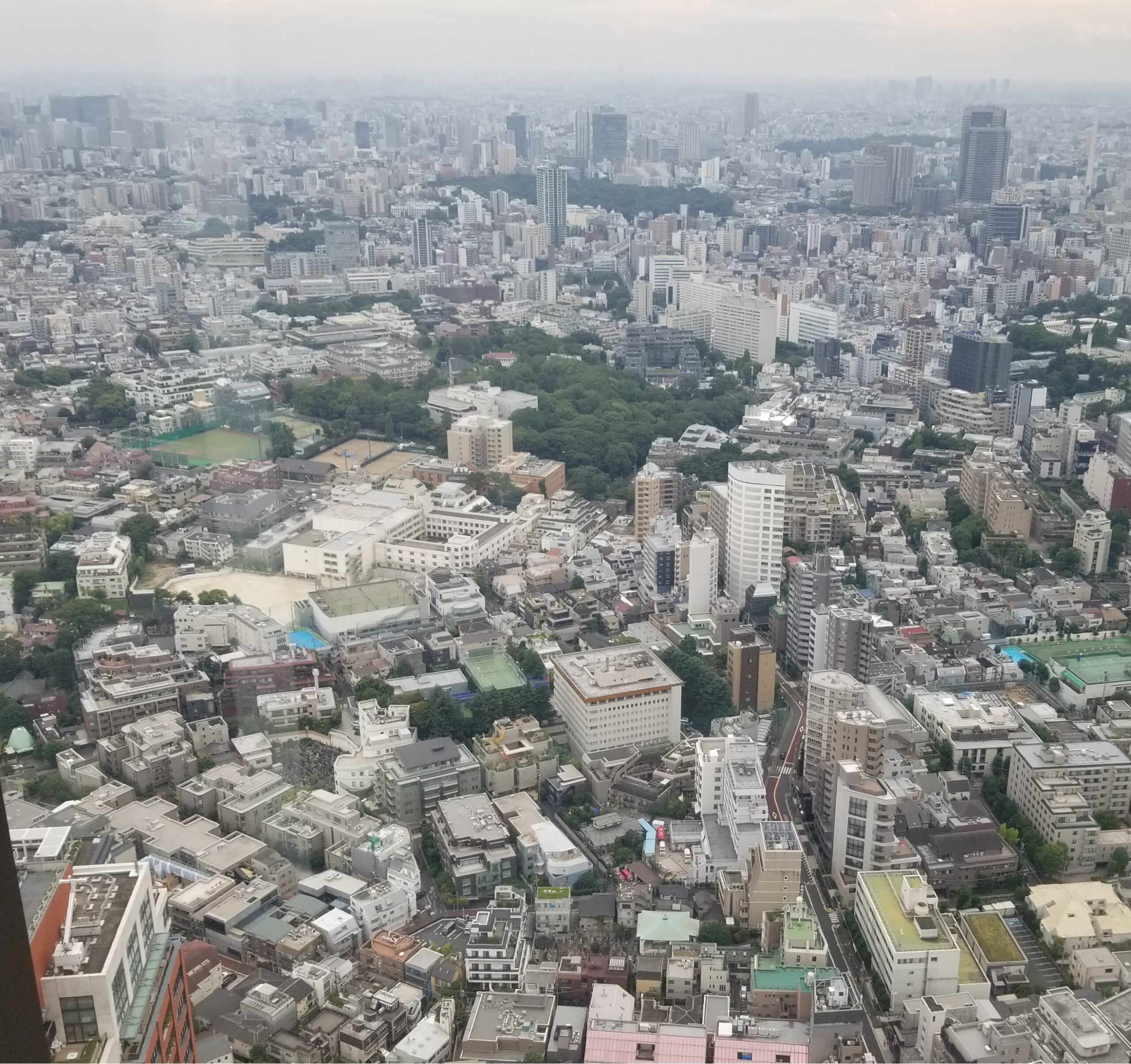 デフォルト紹介文